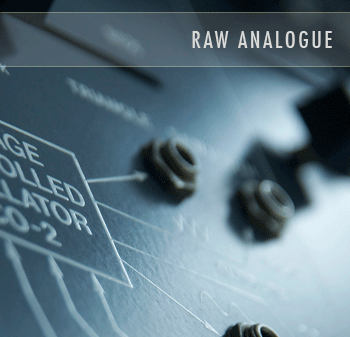 Raw Analogue Samples Image