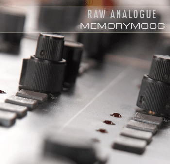 Raw Analogue Memorymoog Samples Image